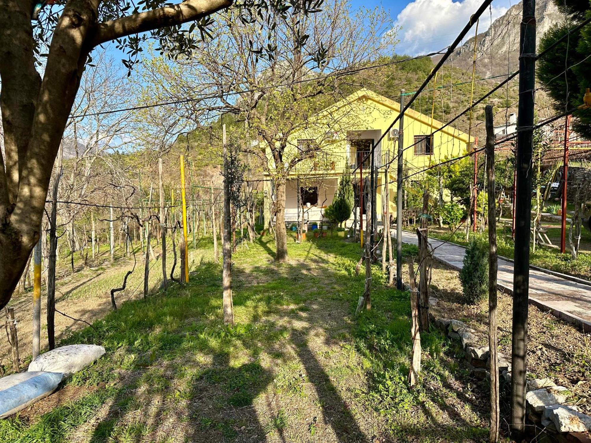 Lakeview Escape Koman Экстерьер фото